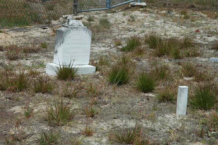 walter campbell stone