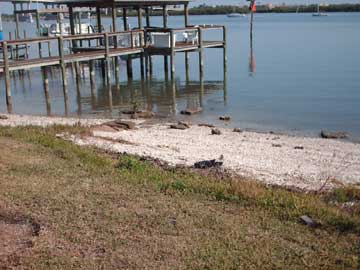 Old Stone Wharf located adjacent to excavation site