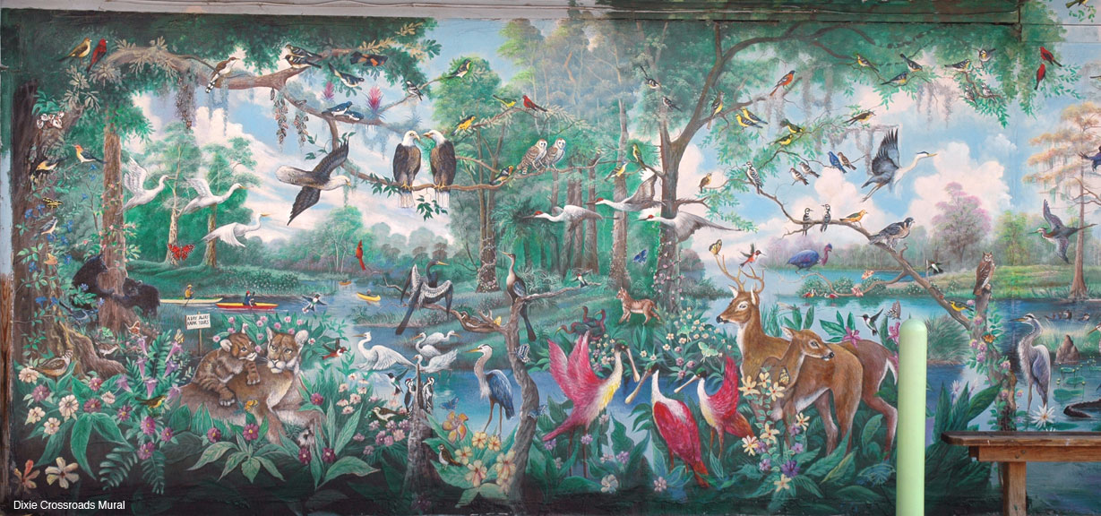Panel-1