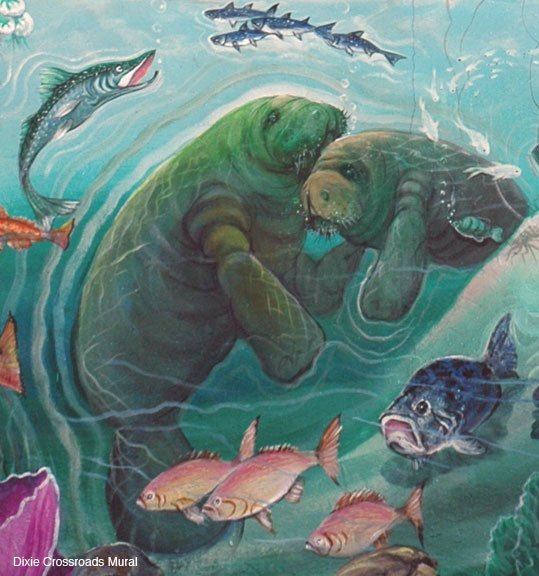z-Detail-Manatee
