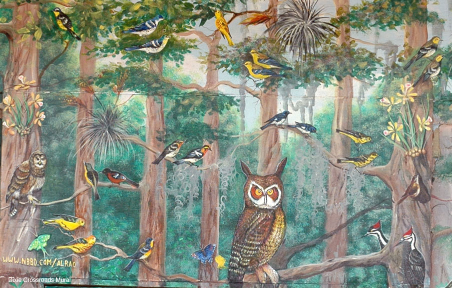 z-Detail-Warblers