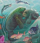 z-Detail-Manatee