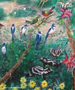 z-Detail-ScrubJay