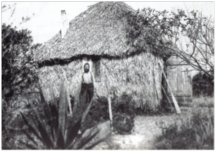 An early settler's Palmetto hut. An early settler's hut.
