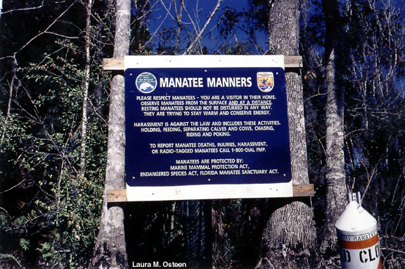 Save the Manatee - information sign.